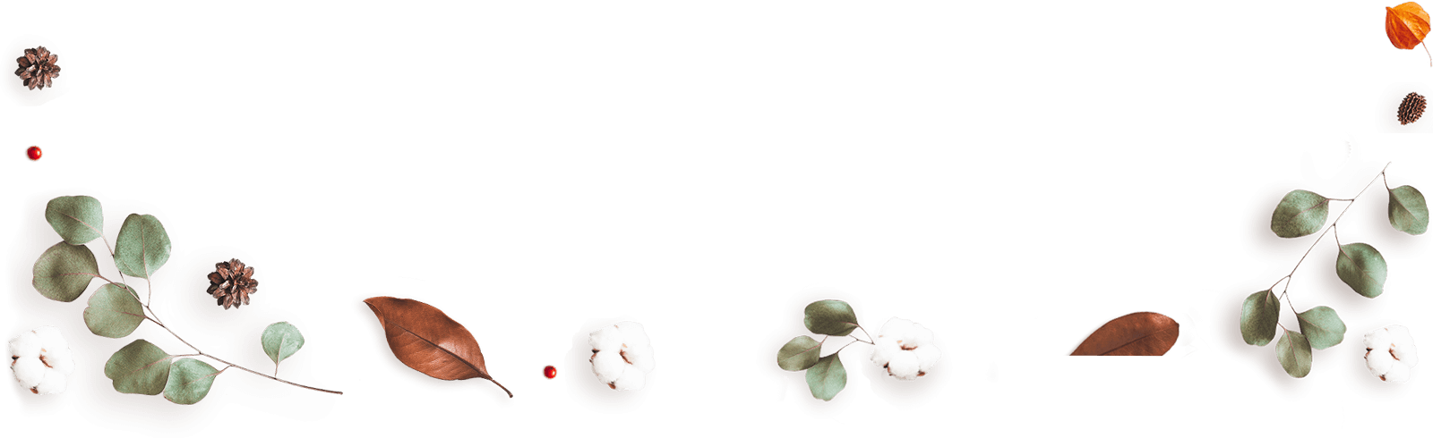 https://baeghamkot.com/wp-content/uploads/2020/12/floating_image_13.png